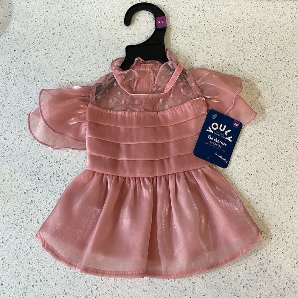 2 XS the Charmer Pet Dresses
